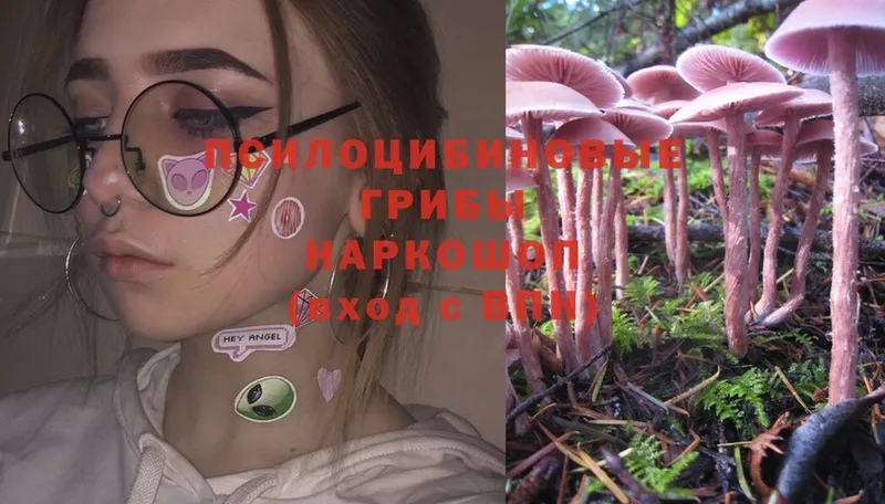 Галлюциногенные грибы MAGIC MUSHROOMS  Саранск 